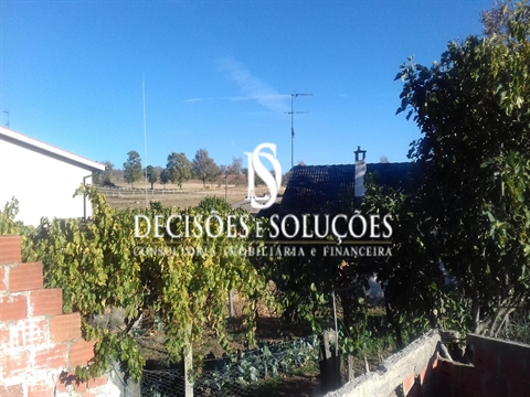 Detached house to restore T4