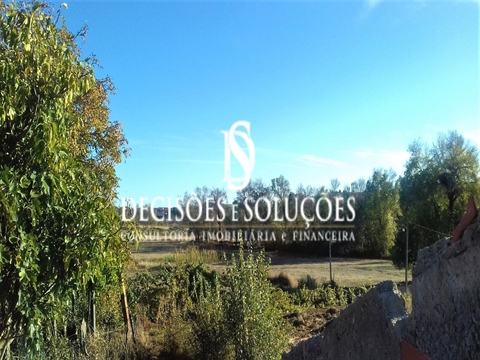 Detached house to restore T4