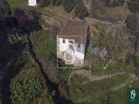 Quinta
